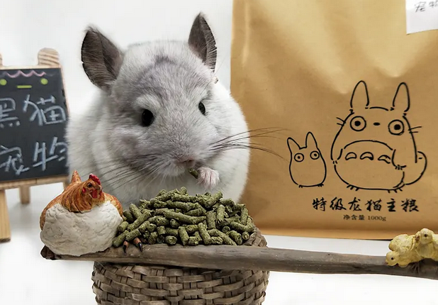 龙猫吃什么龙猫吃什么好