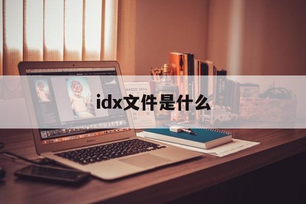 idx文件是什么